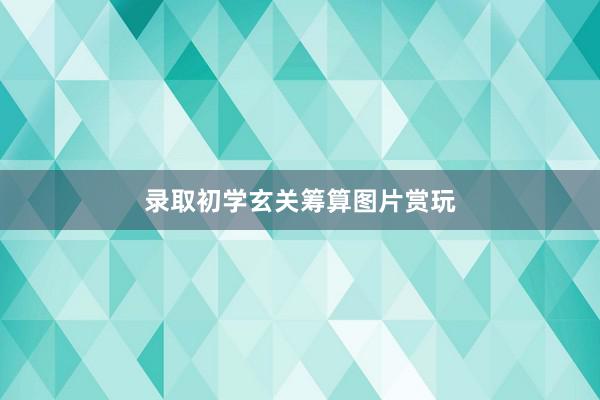 录取初学玄关筹算图片赏玩