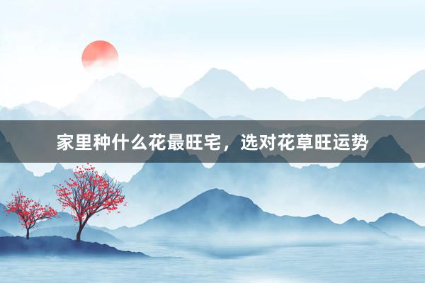 家里种什么花最旺宅,选对花草旺运势