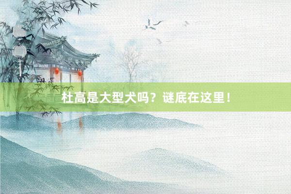 杜高是大型犬吗？谜底在这里！